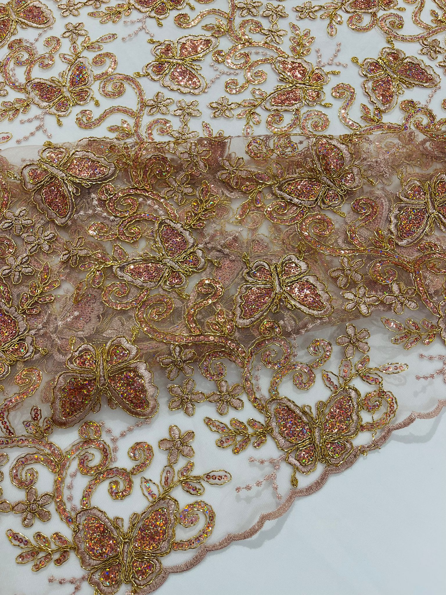 Corded Lace/ Butterfly Design Embroidered With Sequin on a Mesh Lace Fabric.