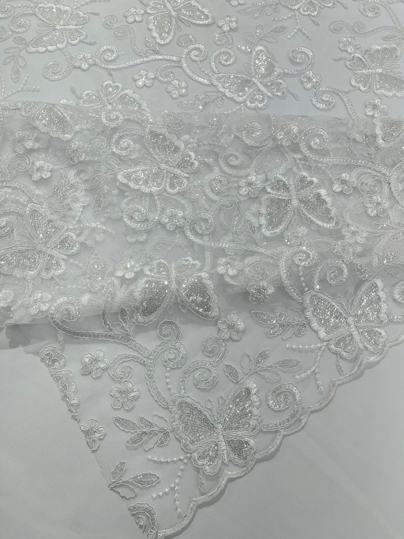 Corded Lace/ Butterfly Design Embroidered With Sequin on a Mesh Lace Fabric.